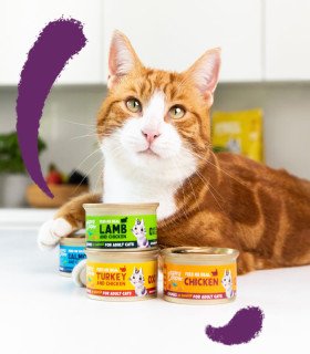 Adulto Salmón y pollo - Trocitos en salsa