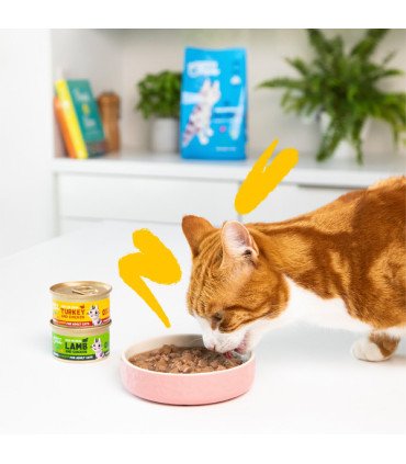 Adulto Pavo y pollo - Trocitos en salsa