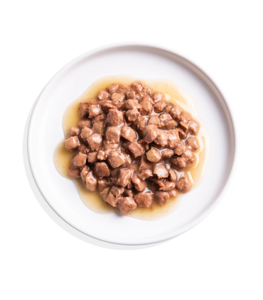 Adulto Cordero y pollo - Trocitos en salsa