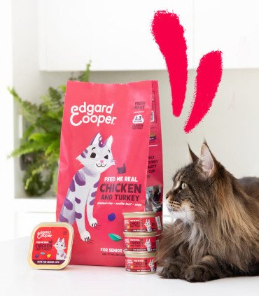 Sénior Pollo y pavo - Trocitos en salsa