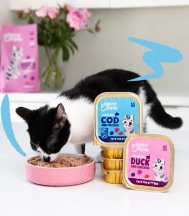 Gatito Pato y pollo - Paté