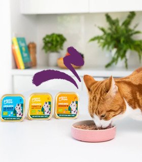 Adulto Pollo ecológico - Paté