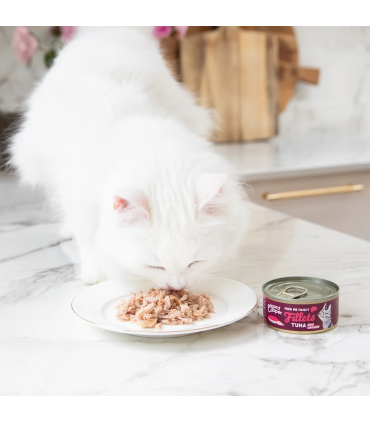 Atún y pollo - Filetes