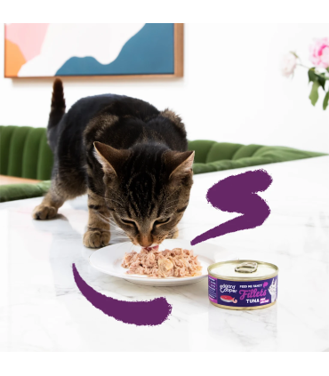 Atún y gambas - Filetes