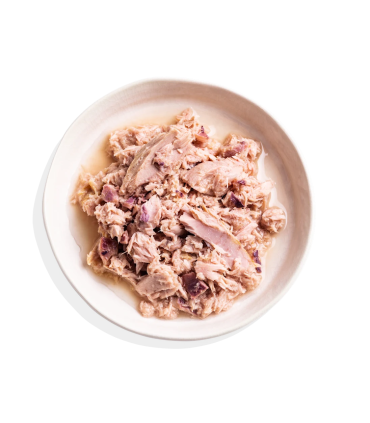 Atún y calamar - Filetes