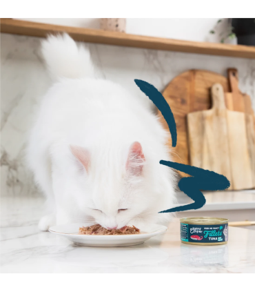 Atún y calamar - Filetes