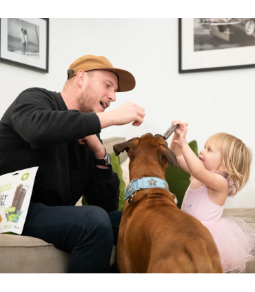 Doggy Dental Manzana y eucalipto