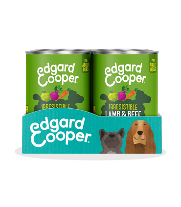 Deliciosa comida natural para perros adultos