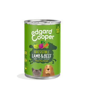 Deliciosa comida natural para perros adultos