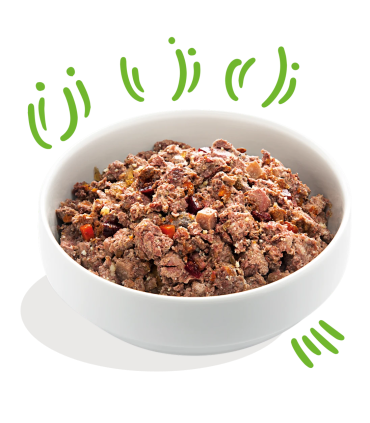 Comida húmeda para perros con pollo, pavo y manzana