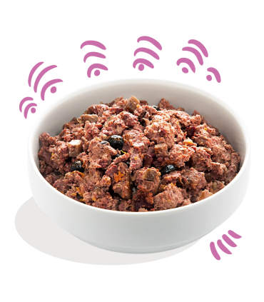 Receta natural con carne de caza y pato para perros