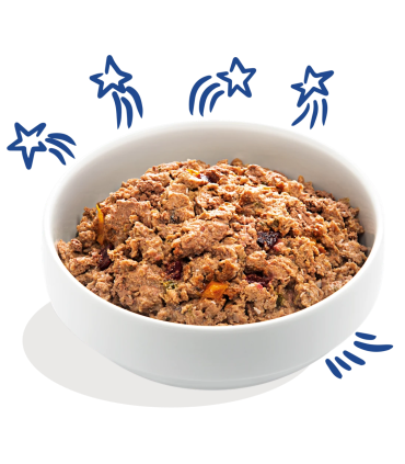 copia de Adulto Venado y pato