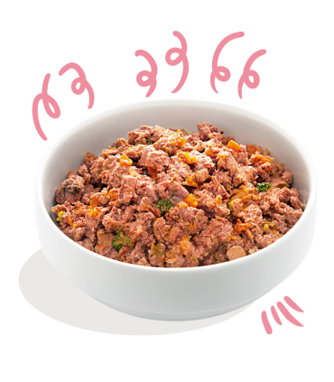 Alimento natural para cachorros sin cereales