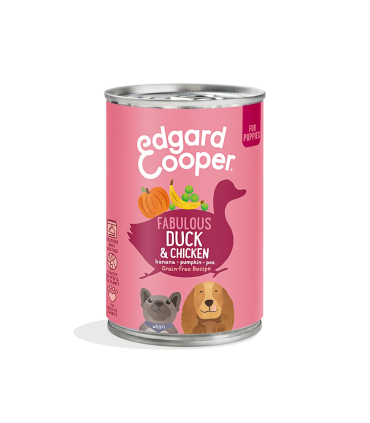 Cachorro Pato y pollo