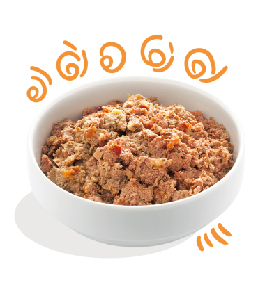 Comida natural para perros adultos con pollo, pavo y manzana