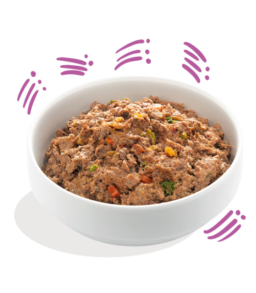 Comida húmeda natural para perros, 150g