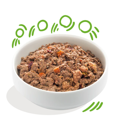 Deliciosa comida natural para perros adultos