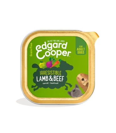 Deliciosa comida natural para perros adultos
