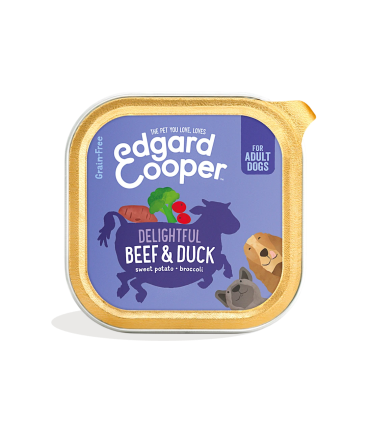 Adulto Vacuno y pato