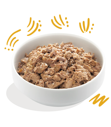 Adulto Vacuno ecológico