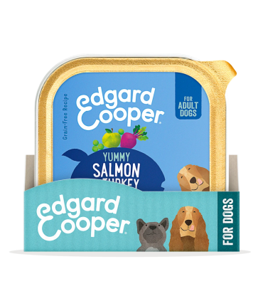 Adulto Salmón y pavo