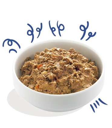 Adulto Salmón y pavo