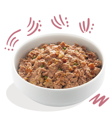 Comida natural para cachorros con pato y pollo