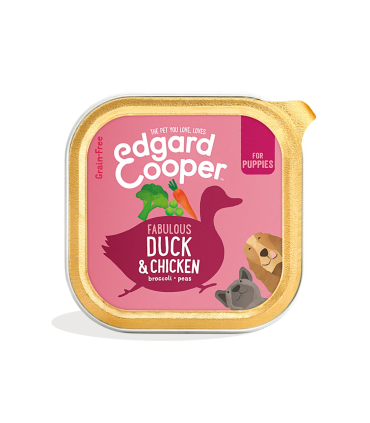 Cachorro Pato y pollo