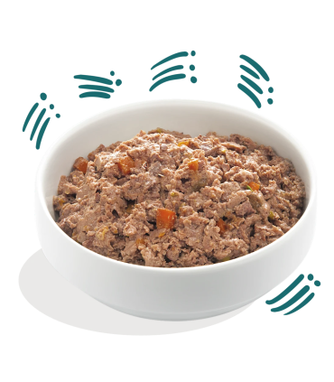 Cachorro Pollo y pescado ecológicos