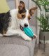 Pelota Rugby Mintfresh para cuidado dental natural