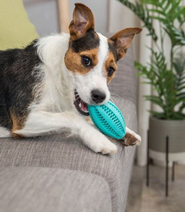 Pelota Rugby Mintfresh para cuidado dental natural