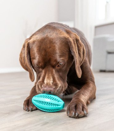 Pelota Rugby Mintfresh para cuidado dental natural