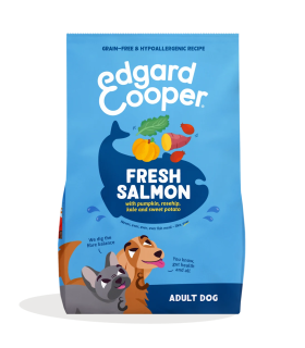 Adulto Salmón fresco