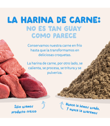 Adulto Salmón fresco