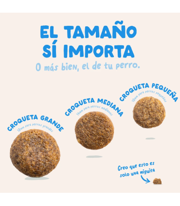 Adulto Salmón fresco