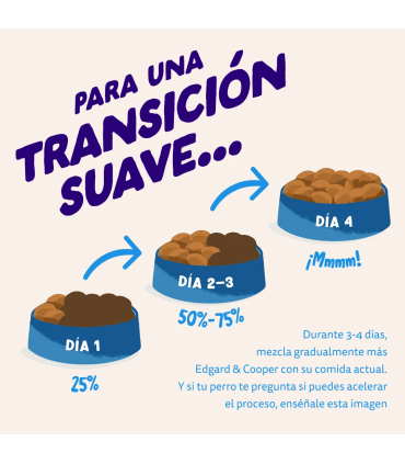 Adulto Salmón fresco