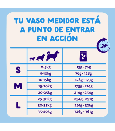 Adulto Salmón fresco