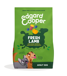 Adulto Cordero fresco