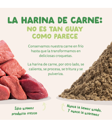 Adulto Cordero fresco