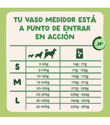 Adulto Cordero fresco