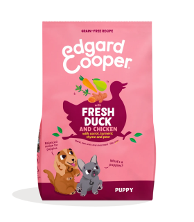 Cachorro Pato y pollo frescos