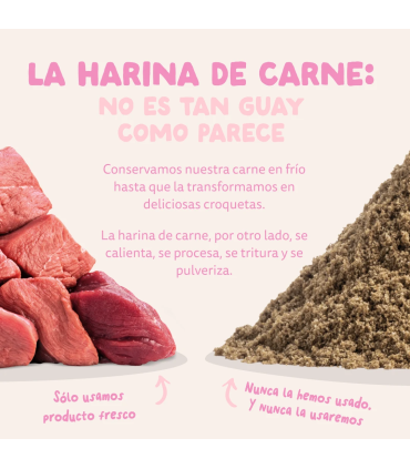 Cachorro Pato y pollo frescos