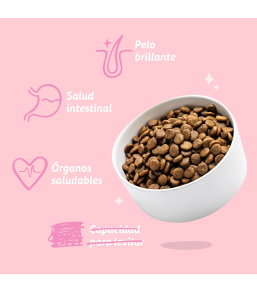 Cachorro Pato y pollo frescos