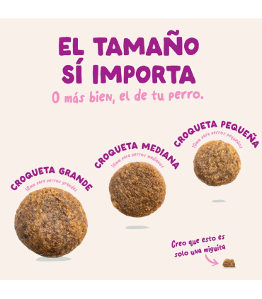 Cachorro Pato y pollo frescos