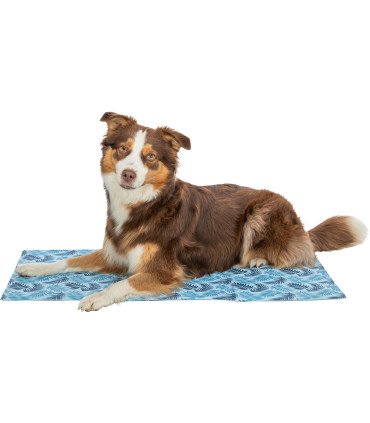 Esterilla refrescante para perros contra el calor