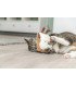 Juguete XXL con hierba gatera para gatos grandes y activos