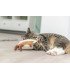 Juguete XXL con hierba gatera para gatos grandes y activos