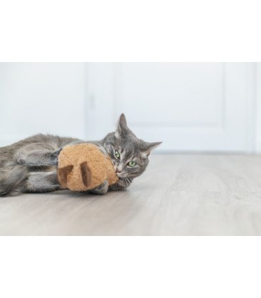 Diversión para gatos grandes con hierba gatera