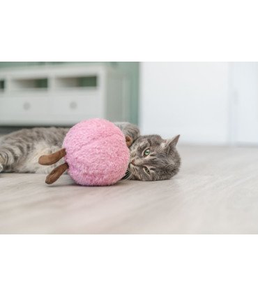 Melocotón XXL: Comfort y diversión para gatos grandes