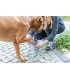 Limpiador de patas en silicona azul para un mantenimiento fácil y eficaz